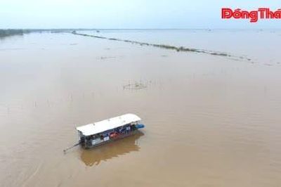 Về Đồng Tháp khám phá mùa nước nổi