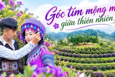 Góc tím mộng mơ giữa thiên nhiên