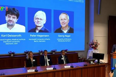 Giải Nobel Y sinh 2026: Dùng ánh sáng để điều khiển tế bào thần kinh