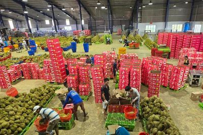 Giữ mã số vùng trồng bằng năng lực kiểm soát