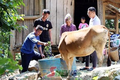 Hỗ trợ sinh kế và xóa nhà tạm cho hộ nghèo