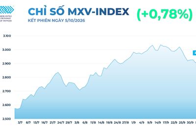 Thị trường hàng hóa: Nguồn cung chịu sức ép, lúa mì và cà phê cùng tăng phiên thứ 3 liên tiếp