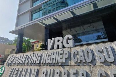 Cao su Việt Nam (GVR) ước lãi hơn 6.800 tỷ đồng, lợi nhuận cả năm dự báo vượt 52% kế hoạch
