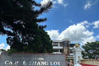 Cà phê Thắng Lợi (CFV) chốt quyền trả cổ tức 10% tiền mặt, lãi ròng bán niên tăng gấp đôi nhờ hoàn nhập dự phòng