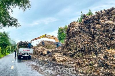 Tạo đột phá trong sản xuất nông - lâm - ngư nghiệp