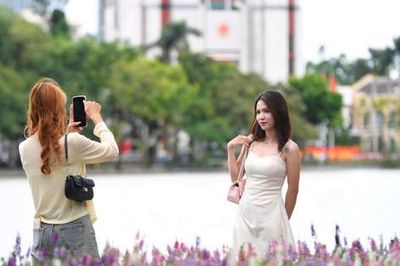 Sắc tím mới gọi mùa thu về bên Hồ Gươm