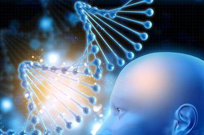 Giải Nobel Y học 2026: Công cụ mới giúp giải mã bệnh về thần kinh