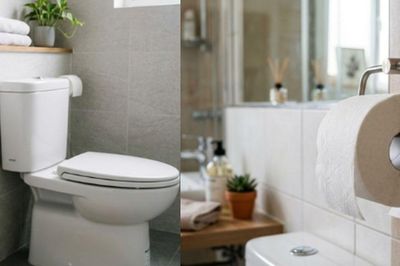 Bí quyết kết hợp vòi xịt và giấy vệ sinh giúp bảo vệ sức khỏe
