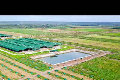 Thaco Agri bị xử lý vi phạm chứng khoán