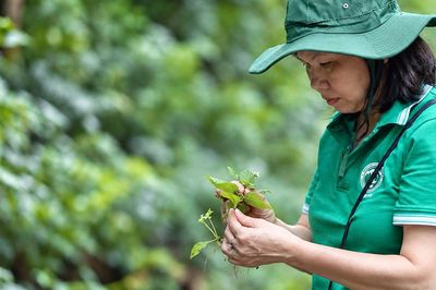 Người dành tâm huyết gìn giữ 'kho báu' dược liệu Việt