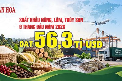 Trung Quốc mua 24,4% hàng nông, lâm, thủy sản Việt, tăng 18,9%