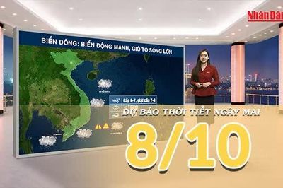 [Video] Dự báo thời tiết đêm nay và ngày mai 8/10/2026: Bắc Bộ đêm lạnh, vùng núi trời rét, Trung Bộ có nơi mưa đặc biệt lớn