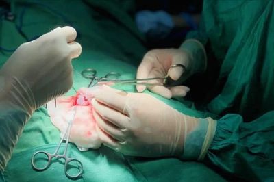 Đề xuất cho vợ sử dụng tinh trùng của chồng đã qua đời để sinh con