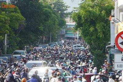 Cây cổ thụ cao hơn 20m bật gốc gây ùn tắc giao thông tại TP HCM