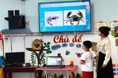 Mức thu dịch vụ trường công ở Gia Lai từ 8.000 đồng
