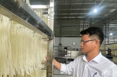 Người đàn ông rời phố về quê mở xưởng miến khô