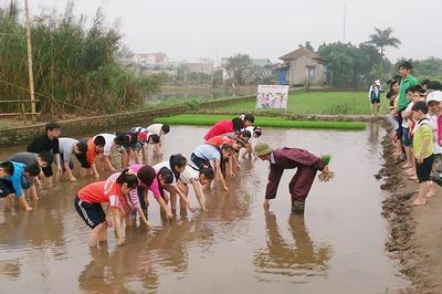 Hà Nội xây dựng nông thôn mới: Đánh thức sức sáng tạo từ những làng quê