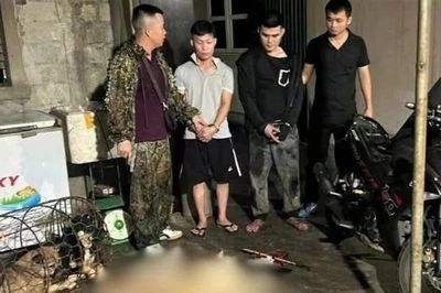 Cẩu tặc dùng súng tự chế trộm 9 con chó trong một đêm