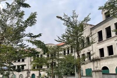 Đất trong bao lâu không sử dụng thì bị coi là bỏ hoang?