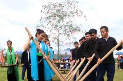 Lễ hội Kin Lẩu Khẩu Mẩu 2026-Hương cốm mới trên cánh đồng đất Phong Thổ