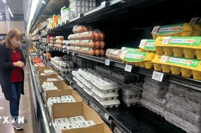 Gần 60% mẫu trứng được kiểm tra tại Pháp chứa chất ô nhiễm vĩnh cửu