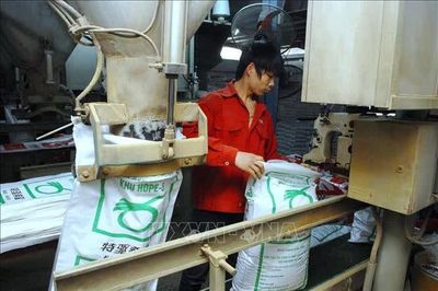 Giá thức ăn tăng, người chăn nuôi giảm đàn để 'giữ sức'