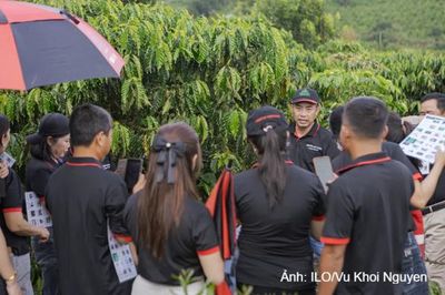 Từ học viên thành người ‘truyền lửa’: Hành trình đưa an toàn lao động về với các nông trại cà phê