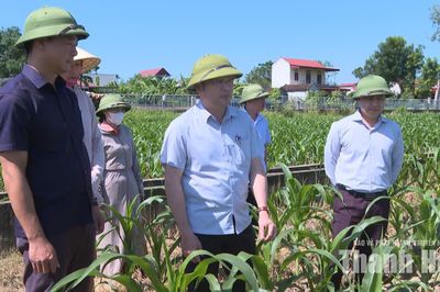 Phó Chủ tịch UBND tỉnh Cao Văn Cường kiểm tra sản xuất vụ Đông