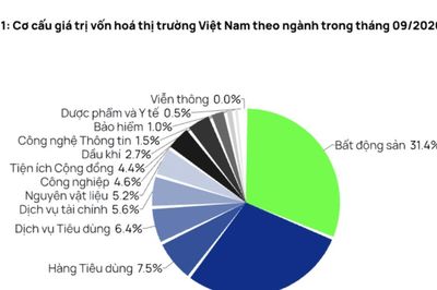 Chứng khoán tháng 10: Kết quả kinh doanh quý 3 sẽ 'cân' yếu tố lãi suất và khối ngoại bán ròng