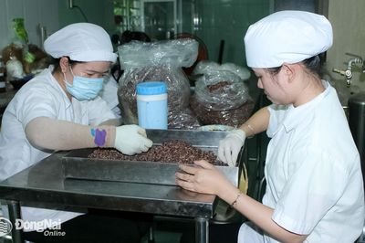 Nhiều hoạt động hỗ trợ doanh nghiệp