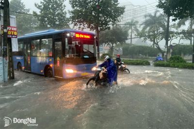 Cảnh báo mưa lớn, dông sét diễn biến phức tạp