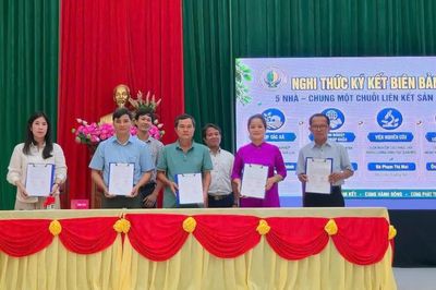 Đức Cơ xây dựng chuỗi liên kết sản xuất, tiêu thụ sầu riêng