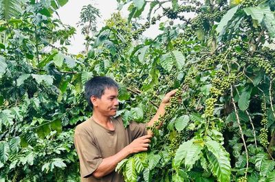 Chuyển đổi cây trồng hiệu quả, mở hướng giảm nghèo