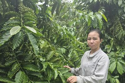 Phụ nữ Ia Khươl vượt qua khuôn mẫu, tự tin vươn lên