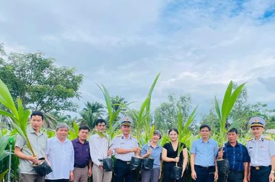 Gia Lai trao 11.100 cây dừa giống, tiếp sức “Xanh hóa Trường Sa”