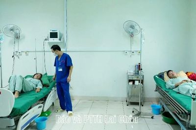 Cảnh báo ngộ độc từ nấm rừng