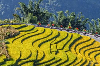 Dự báo thời tiết 7/10/2026: Huế - Đà Nẵng mưa lớn 'như trút nước'