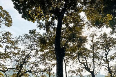 Thời tiết Hà Nội hôm nay 7/10/2026: Không khí lạnh chưa hết ảnh hưởng, sáng 20°C, trưa lên 31°C
