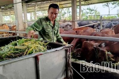 Thay đổi tư duy chăn nuôi, nâng giá trị đàn gia súc