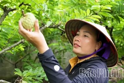 Đổi thay ở Đại Đình
