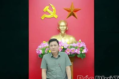 Tập trung hoàn thiện đồ án Quy hoạch phân khu Khu công nghiệp Tam Dương II - khu B