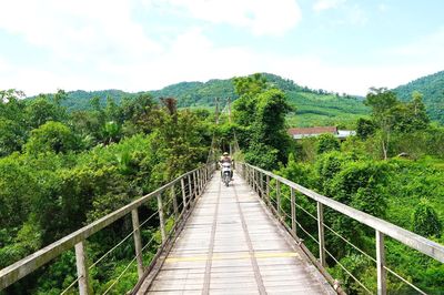 Nỗi lo cầu treo xuống cấp