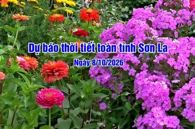 Dự báo thời tiết toàn tỉnh Sơn La ngày 08/10/2026