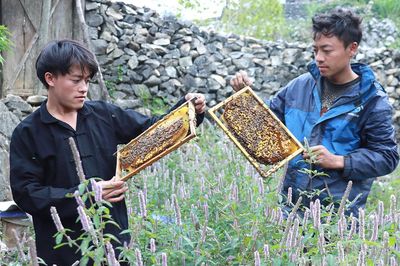 Giữ vùng Bạc hà cho mật ngọt miền đá