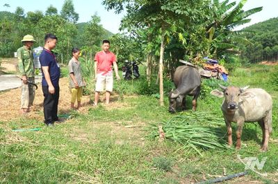 Tạo sinh kế bền vững cho hộ nghèo