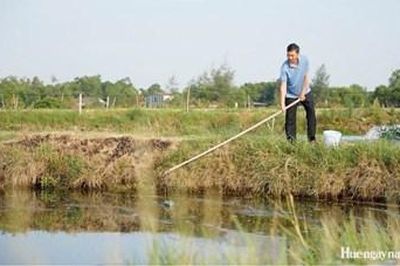 Đầu tư đồng bộ hạ tầng cho vùng nuôi trồng thủy sản