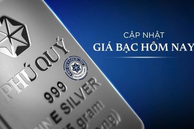 Ngày 7/10: Giá bạc trong nước đảo chiều tăng, thế giới ở mức 61,2605 USD/ounce