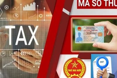 Doanh nghiệp đã nộp hồ sơ giải thể, chấm dứt mã số thuế có phải nộp hồ sơ khai thuế kỳ sau?