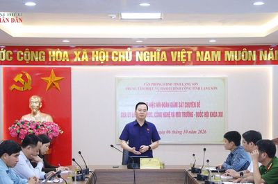 Lạng Sơn: Tháo gỡ vướng mắc chuyển đổi số từ thực tiễn cơ sở