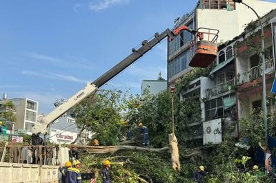 Cây cổ thụ bật gốc, nhiều tuyến đường trung tâm TP Hồ Chí Minh ùn ứ